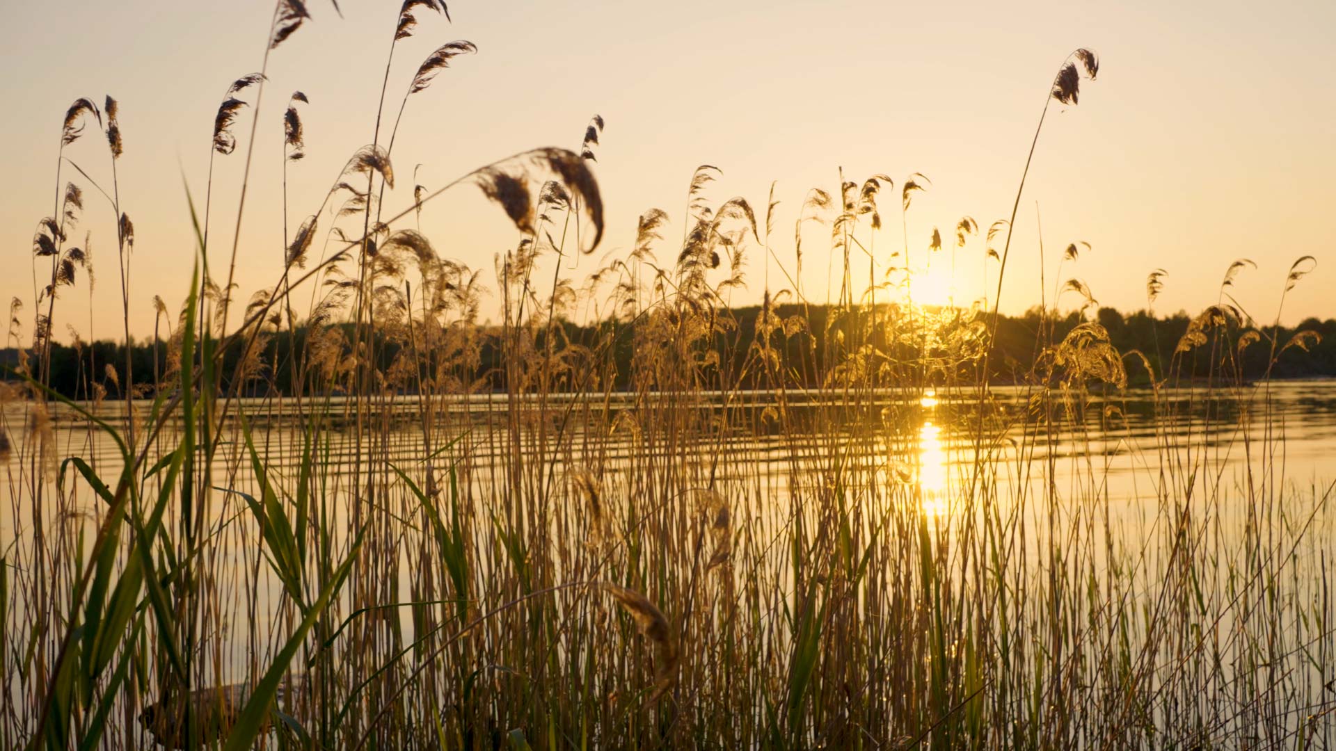 setting sun over lake