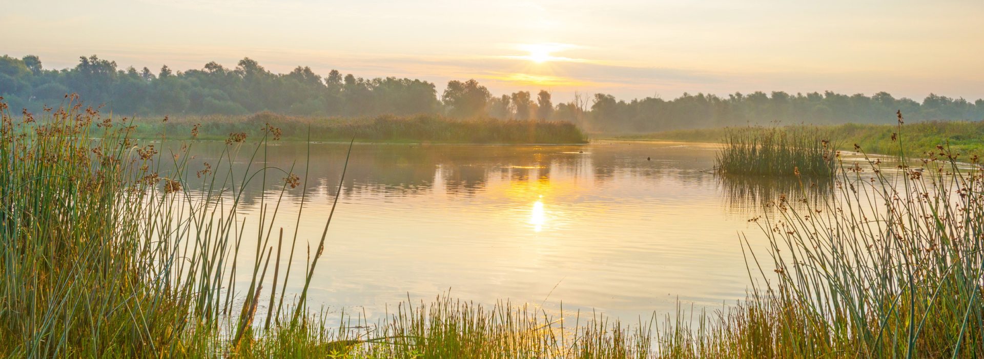 lake at sunrise